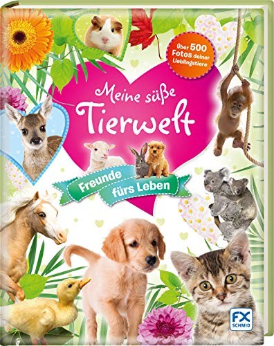 Deine süße Tierwelt - Freunde fürs Leben!, Kinder-Sachbuch