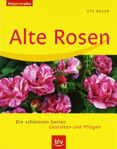Ute Bauer: Alte Rosen. Die schönsten Sorten. Gestalten und Pflegen